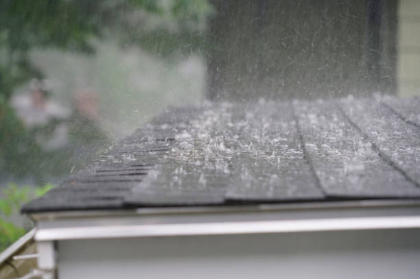 Best Green or Eco-Friendly Roofing Solutions  in Davis Junction, IL